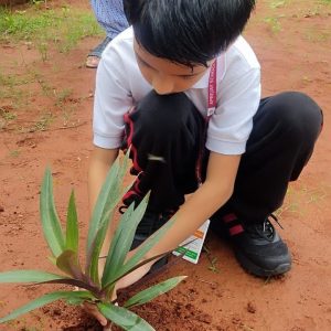 Van Mahotsav Celebration