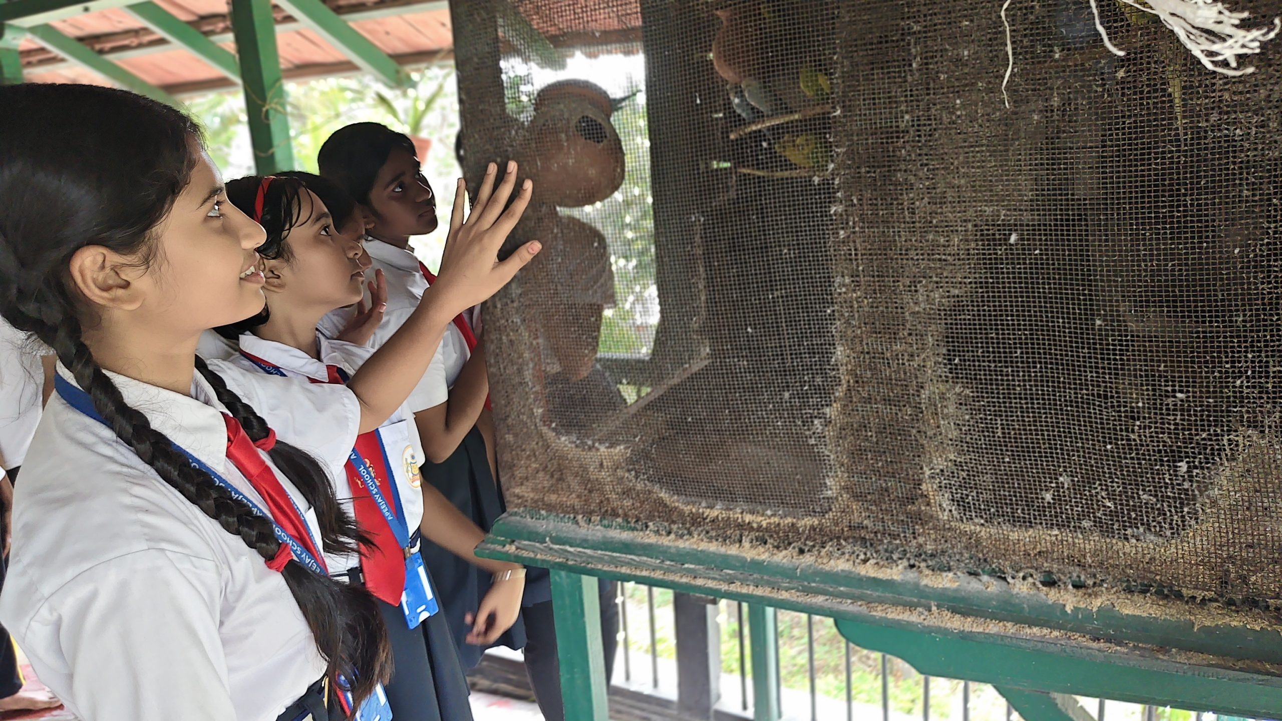 Walking Through Literature & Legacy: World Heritage Day Celebration