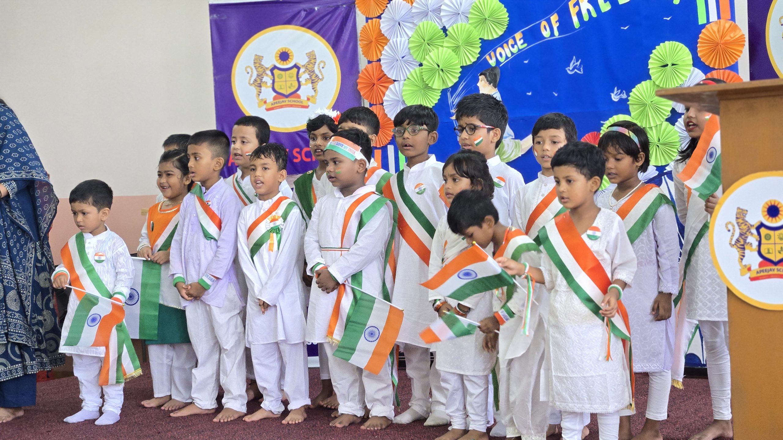 The Tricolour Spirit Shines Bright