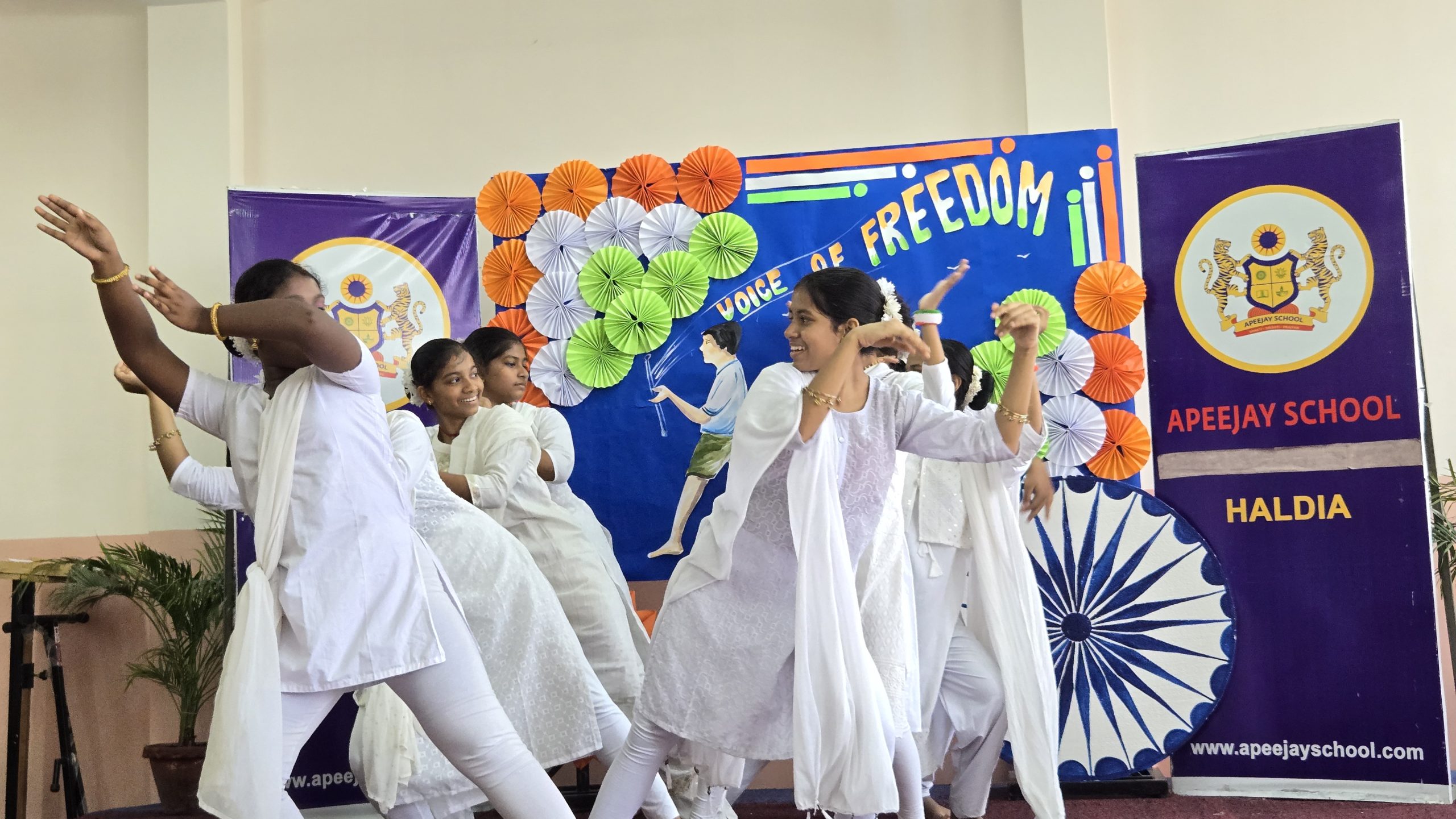 The Tricolour Spirit Shines Bright
