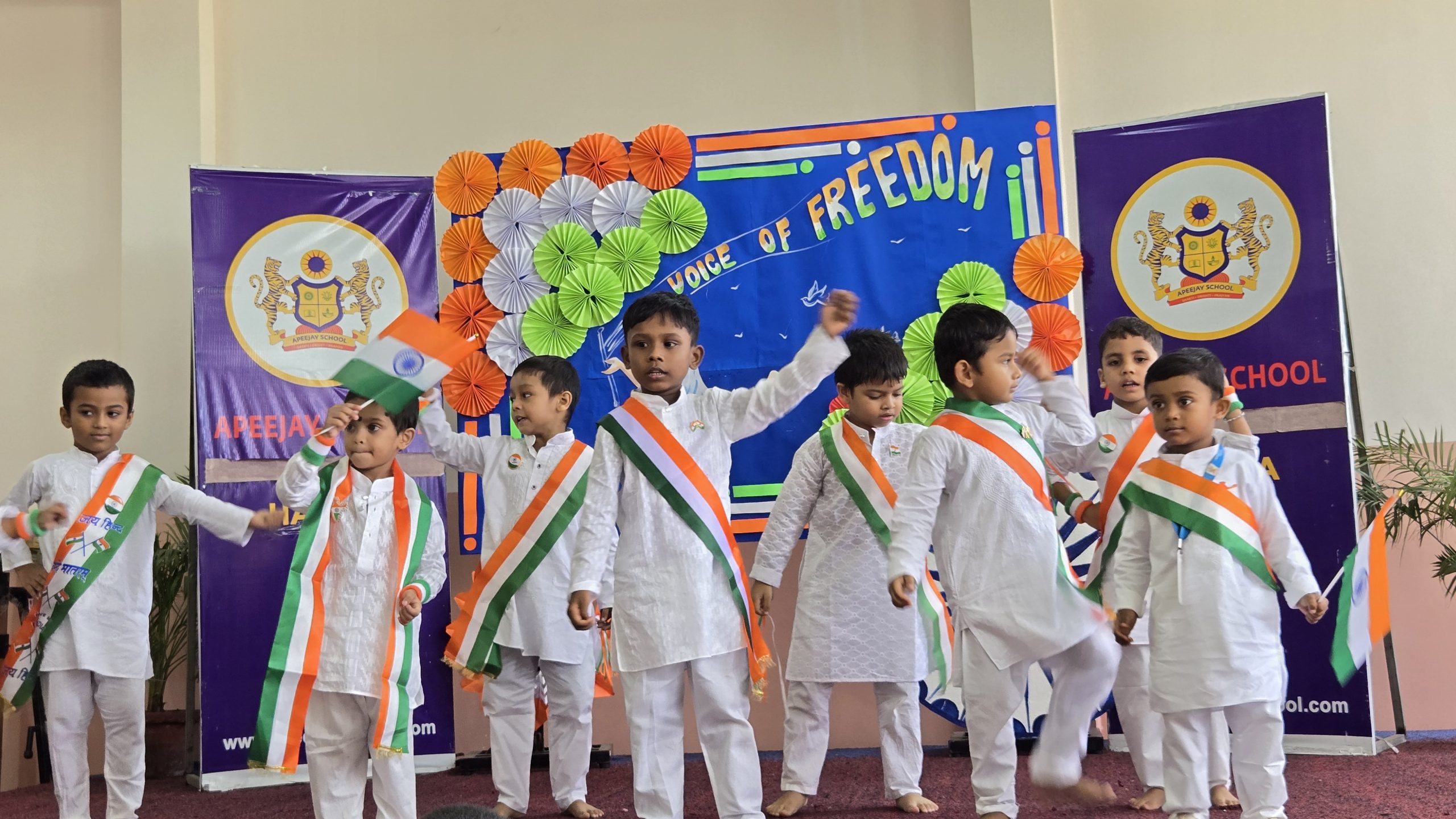 The Tricolour Spirit Shines Bright