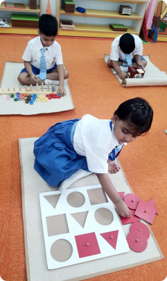 Nursery to Class VIII