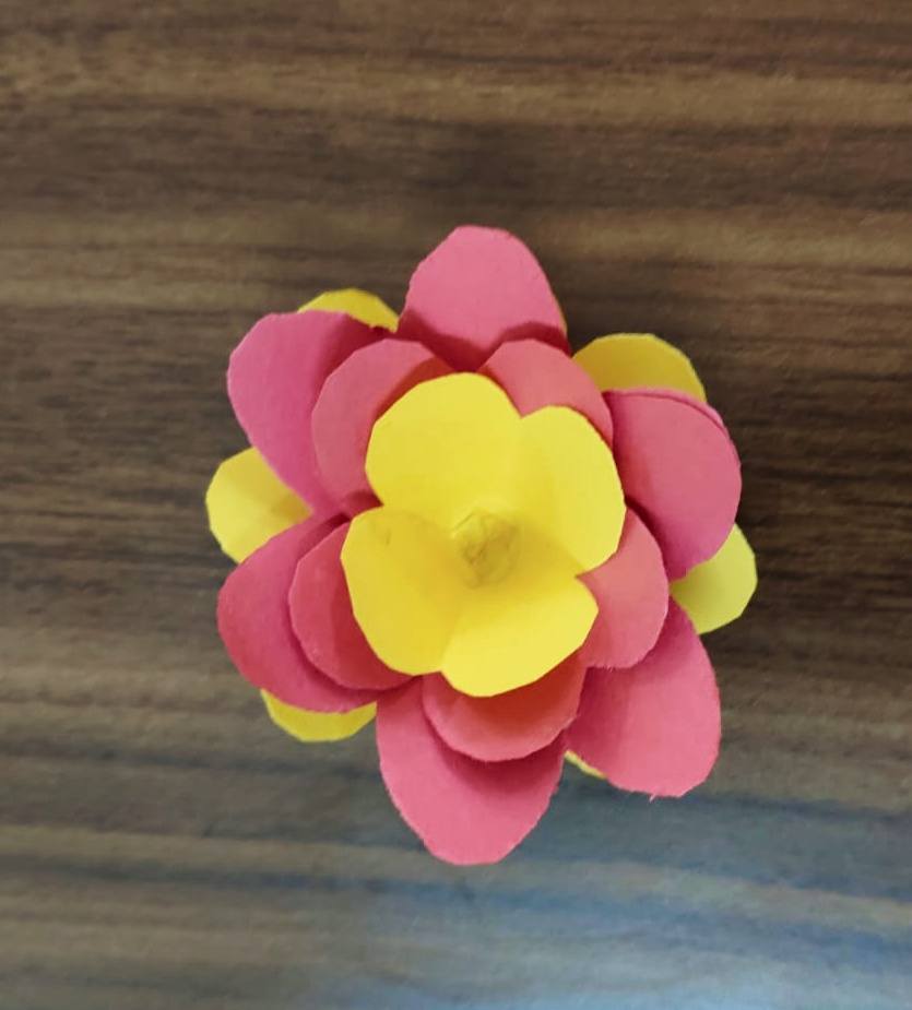 Friendship Day Celebrations